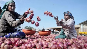 After tomatoes make Indians see red, are onions set to make them cry?