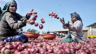 After tomatoes make Indians see red, are onions set to make them cry?