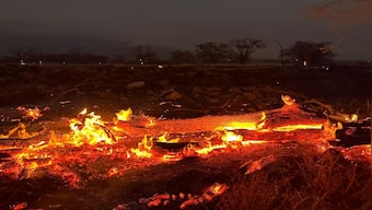 Hawaii death toll hits 53, Biden declares wildfires a 'major disaster', unblocks federal aid