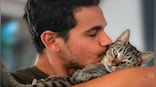 Is kissing your pets really safe?
