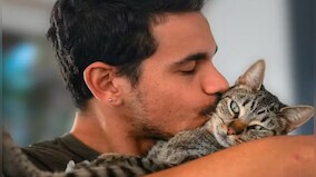 Is kissing your pets really safe?