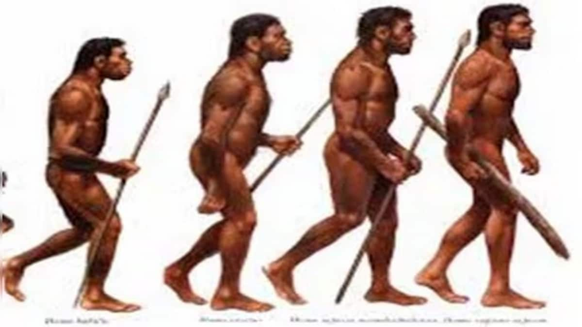 Humans nearly went extinct 900,000 years ago, say scientists. Here's what we know