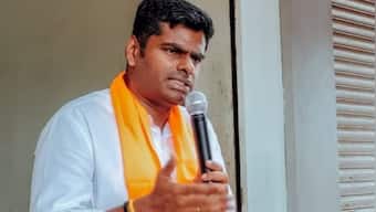 'DMK means Dengue Malaria Kosu (mosquito)': TN BJP chief K Annamalai hits out at Udhayanidhi for Sanatan Dharma remark