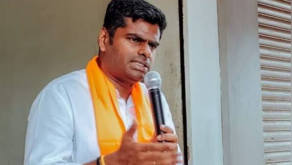 'DMK means Dengue Malaria Kosu (mosquito)': TN BJP chief K Annamalai hits out at Udhayanidhi for Sanatan Dharma remark