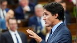 Who is prompting Trudeau to wag the dog?