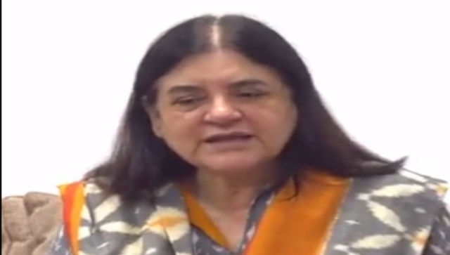 ISKCON sues Maneka Gandhi for Rs 100 crore over her 'biggest cheat', 'selling cows to butcher' remark ISKCON sues Maneka Gandhi for Rs 100 crore over her 'biggest cheat', 'selling cows to butcher' remark