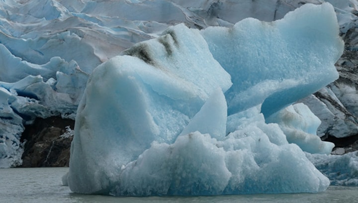 G20 Summit: Global climate crisis tests bloc's commitment to security and sustainability