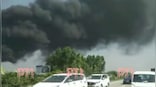 Punjab: 5 labourers injured in massive fire at chemical factory in Mohali's Chanalon