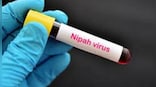 Kerala reports 2 deaths due to Nipah virus, Centre sends team for assistance