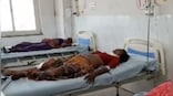 11 Gujaratis killed in Rajasthan road accident, PM Modi, Gujarat CM announce ex-gratia for bereaved families