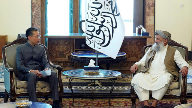 Taliban says China sent envoy to Kabul in first ambassadorial appointment since takeover Taliban says China sent envoy to Kabul in first ambassadorial appointment since takeover