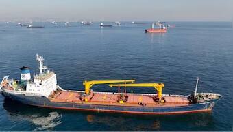 'Open to negotiations': Russia Prez Vladimir Putin on restoring Black Sea grain deal