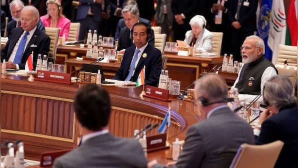 'We commit to halve the digital gender gap by 2030': G20 Delhi Declaration on women empowerment