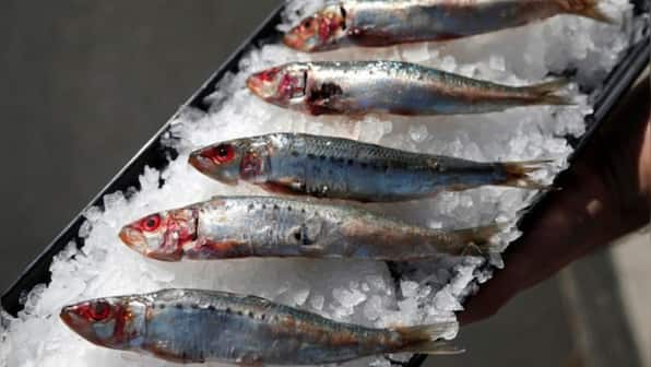 KNOW all about Botulism outbreak that killed French woman, hospitalised several in Bordeaux