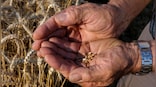 UN food chief warns that over 700m people face uncertainty about their next meal