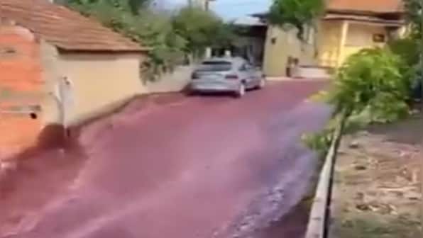 WATCH: River of red wine flows through Portuguese town after distillery accident