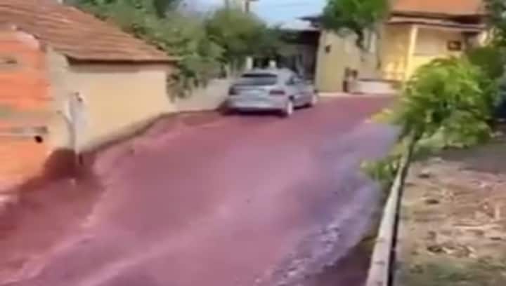 WATCH: River of red wine flows through Portuguese town after distillery accident