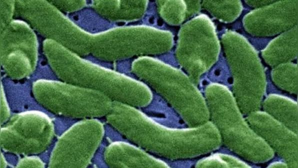 US health agency issues advisory for life-threatening, flesh-eating bacteria