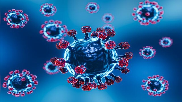 Kerala: Nipah alert sounded in Kozhikode after 2 'unnatural' deaths