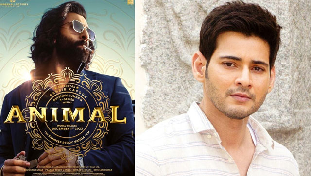 Animal: Not Ranbir Kapoor, but this South superstar was Sandeep Reddy Vanga's first choice Animal: Not Ranbir Kapoor, but this South superstar was Sandeep Reddy Vanga's first choice