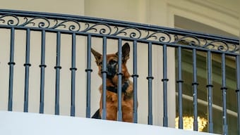 Jokes Apart | Biden, Rahul and the fraught issue of what to call your pooch