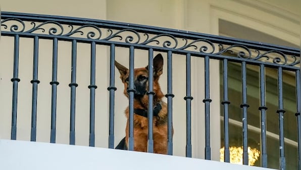 Jokes Apart | Biden, Rahul and the fraught issue of what to call your pooch