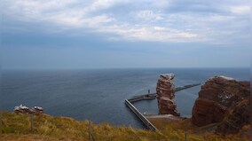 Several missing after two cargo ships collide in North Sea