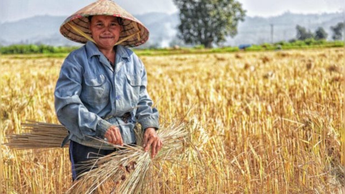 Malaysia urges ASEAN rice-supplying nations to prioritise members’ staple grain needs