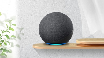 Amazon Alexa believes 'US 2020 elections was stolen by Democrats,' using massive voter fraud