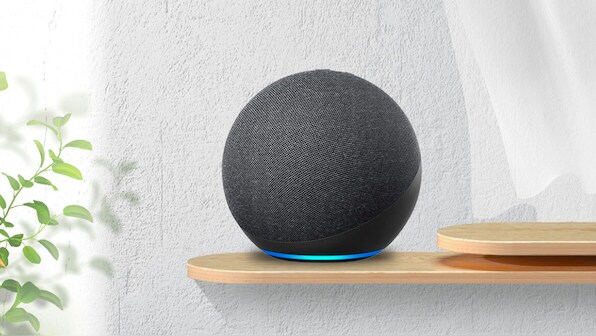 Amazon Alexa believes 'US 2020 elections was stolen by Democrats,' using massive voter fraud