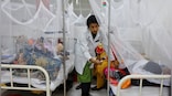 Why dengue may 'take off' in Europe, US, Africa soon