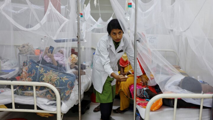 Why dengue may 'take off' in Europe, US, Africa soon