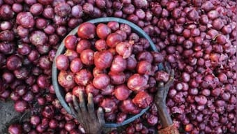 Centre imposes minimum export price of USD 800 per tonne on onion till Dec 31