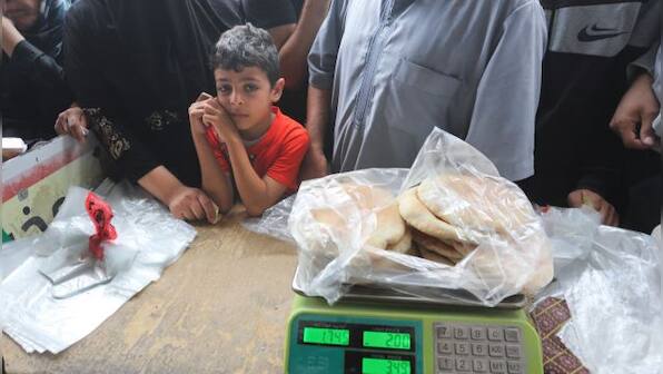 33 trucks with aid enter Gaza amid Israel military offensive; death toll soars to 8,000