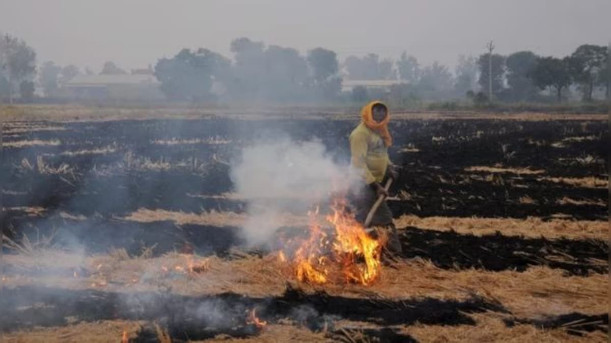 Significant drop in number of stubble-burning incidents in Punjab, Haryana this year: CAQM