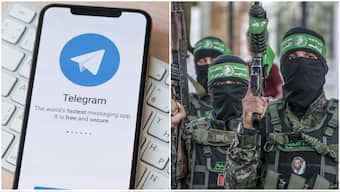 Hamas Telegram channel has grown three times after attack on Israel. CEO explains why and how