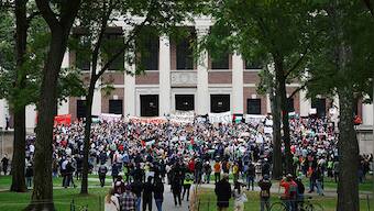 Why Israel-Hamas war is causing Ivy League students to lose job offers   
