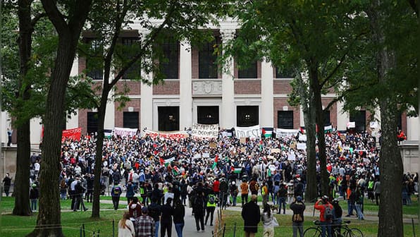 Why Israel-Hamas war is causing Ivy League students to lose job offers   