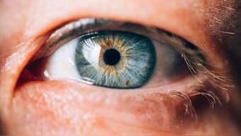 Miracle Cure: Scientists develop eye implants using insulin-producing cells that could treat diabetes