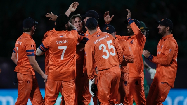 World Cup 2023: Scott Edwards hails 'big win' for Netherlands, South Africa 'hurt' World Cup 2023: Scott Edwards hails 'big win' for Netherlands, South Africa 'hurt'
