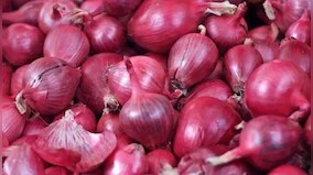 Onion prices in Delhi-NCR touch Rs 78 per kg: Govt data