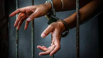 South Korean man jailed for just two years for generating ...