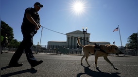 Two Pentagon officials charged for organising dog fights; 'executed those who lose'