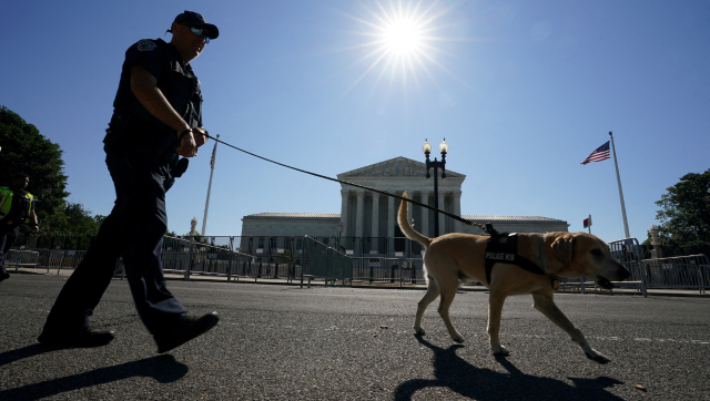 Two Pentagon officials charged for organising dog fights; 'executed those who lose' Two Pentagon officials charged for organising dog fights; 'executed those who lose'