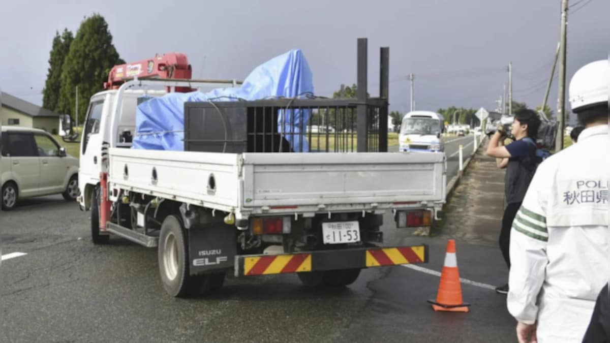 Northern Japan is under 'bear attack': 30 incidents in past 10 months