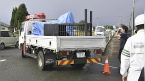 Northern Japan is under 'bear attack': 30 incidents in past 10 months