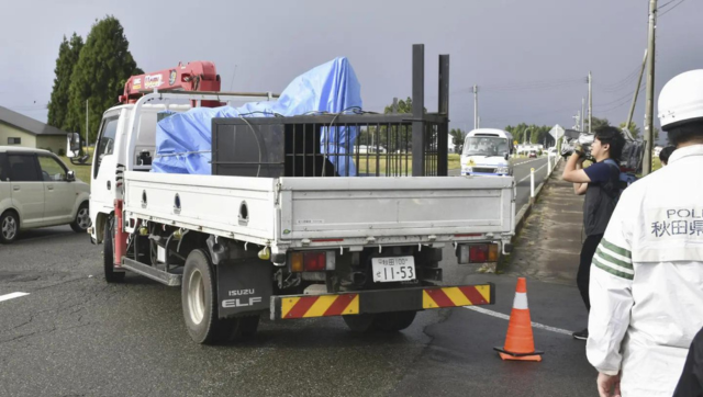 Northern Japan is under 'bear attack': 30 incidents in past 10 months Northern Japan is under 'bear attack': 30 incidents in past 10 months
