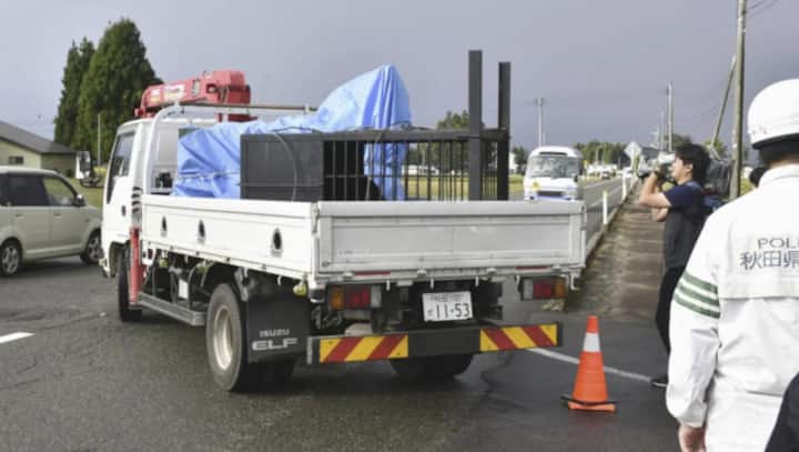 Northern Japan is under 'bear attack': 30 incidents in past 10 months