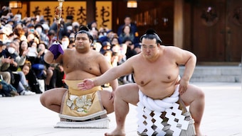 Japan's airline adds an extra plane to transport 27 sumo wrestlers after 'over-loading issue'