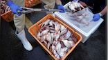 G7 demands 'immediate repeal' of restrictions on Japanese food
